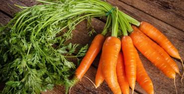 Как приготовить пюре из моркови – морковное пюре для грудничков и взрослых